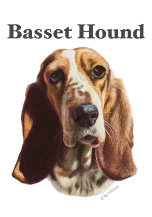 gray original Dog face &breed printed S/S TEE［Basset Hound］