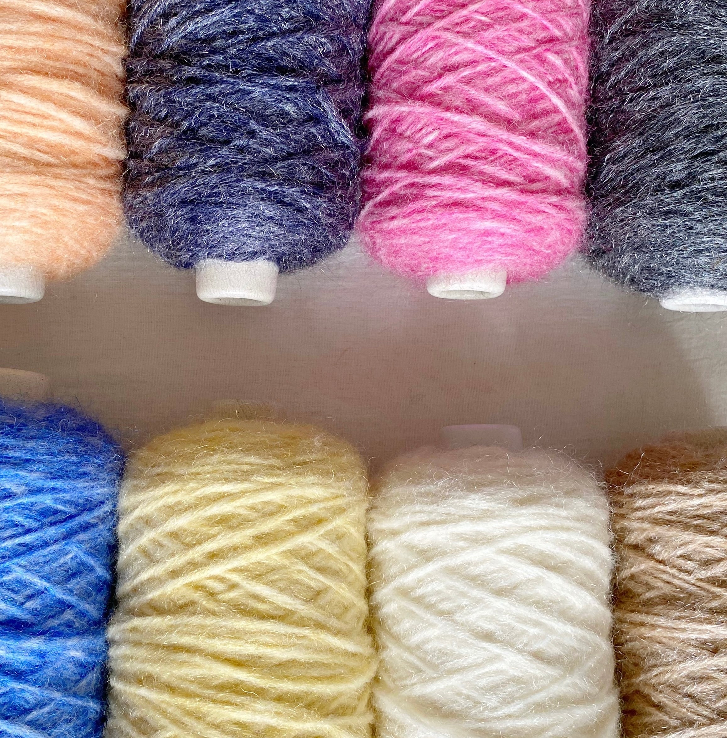 Terrier テリア｜Special Selection | ［hus:］フース