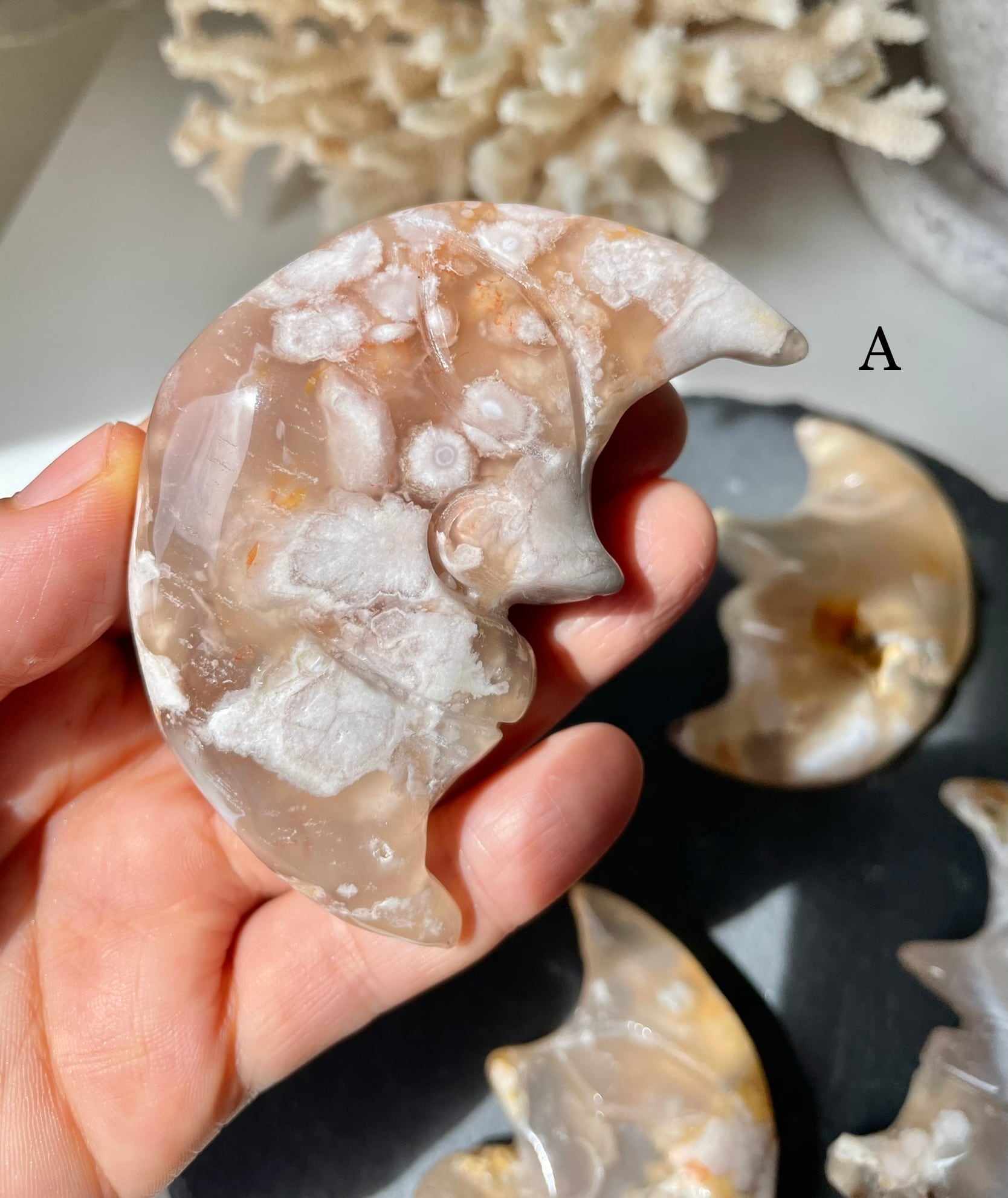 Flower Agate Moon shape stones(L) ①/ フラワーアゲートムーンシェイプ(L)①