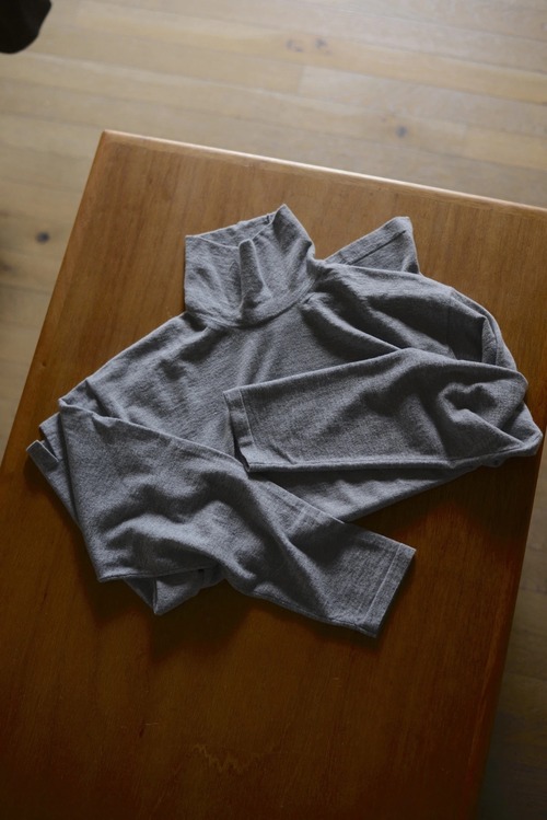 Ex Alashan cashmere “long sleeve Tee” mid turtle Knit (Gray)