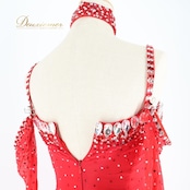 社交ダンス 衣装 スタンダードドレス ワンピース ドレス スタンダード 赤 フロート レース イングランド製 無地 ストレッチ チュール 豪華 デモ 競技 ダンス パーティ 発表会 ビジュー レッド系 フォーマルドレス おしゃれ 高級感 華やか エレガント レディース用