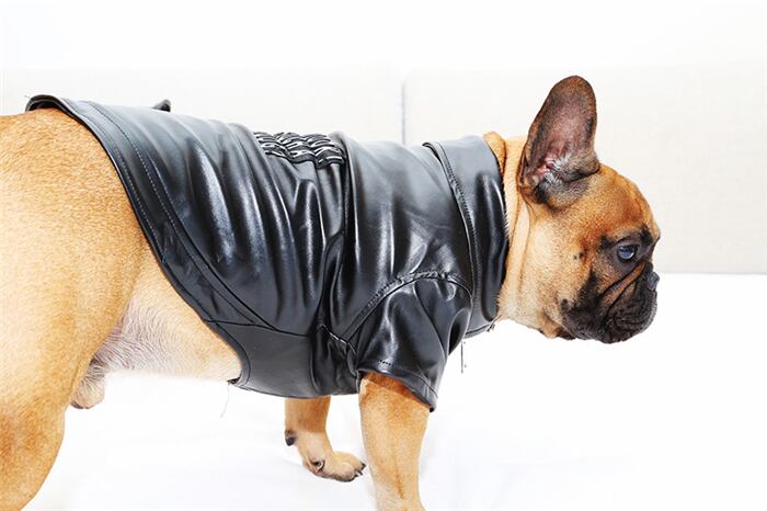 送料無料 Km290jk ペットウェア ライダースジャケット 小型犬 中型犬 ジャンパー 犬用品 ドッグウェア ペット服 ペットウェア Dearkm フレンチブルドック孔明