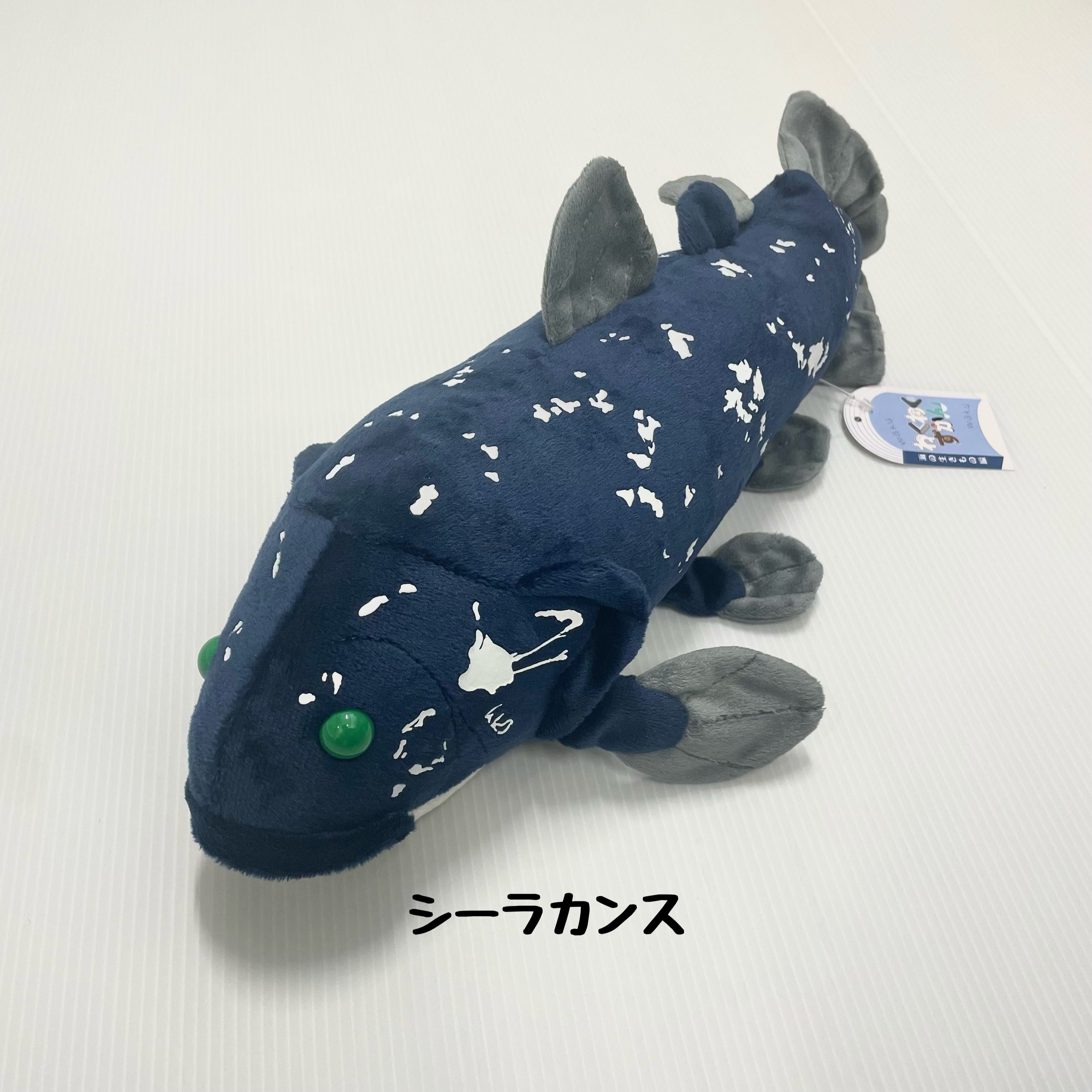 シーラカンス ぬいぐるみ | 幼魚屋オンラインショップ