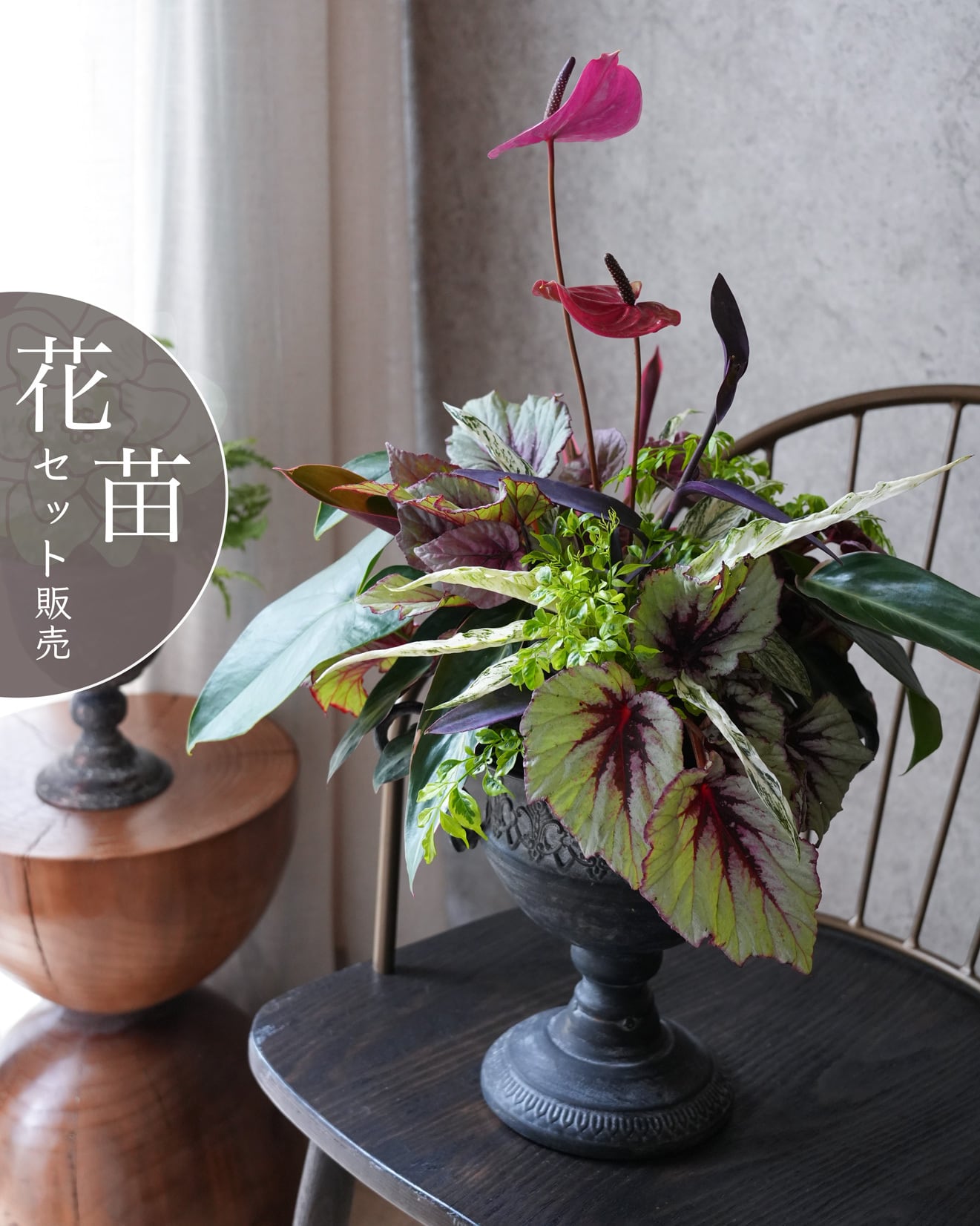 花苗セット（セット販売） | アトリエ ヴィネット（花苗・鉢・寄せ植え