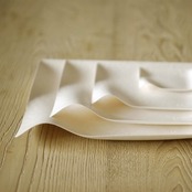 WASARA 角皿(大)6枚入 | Square L (6pc) 20.4cm | DM-005