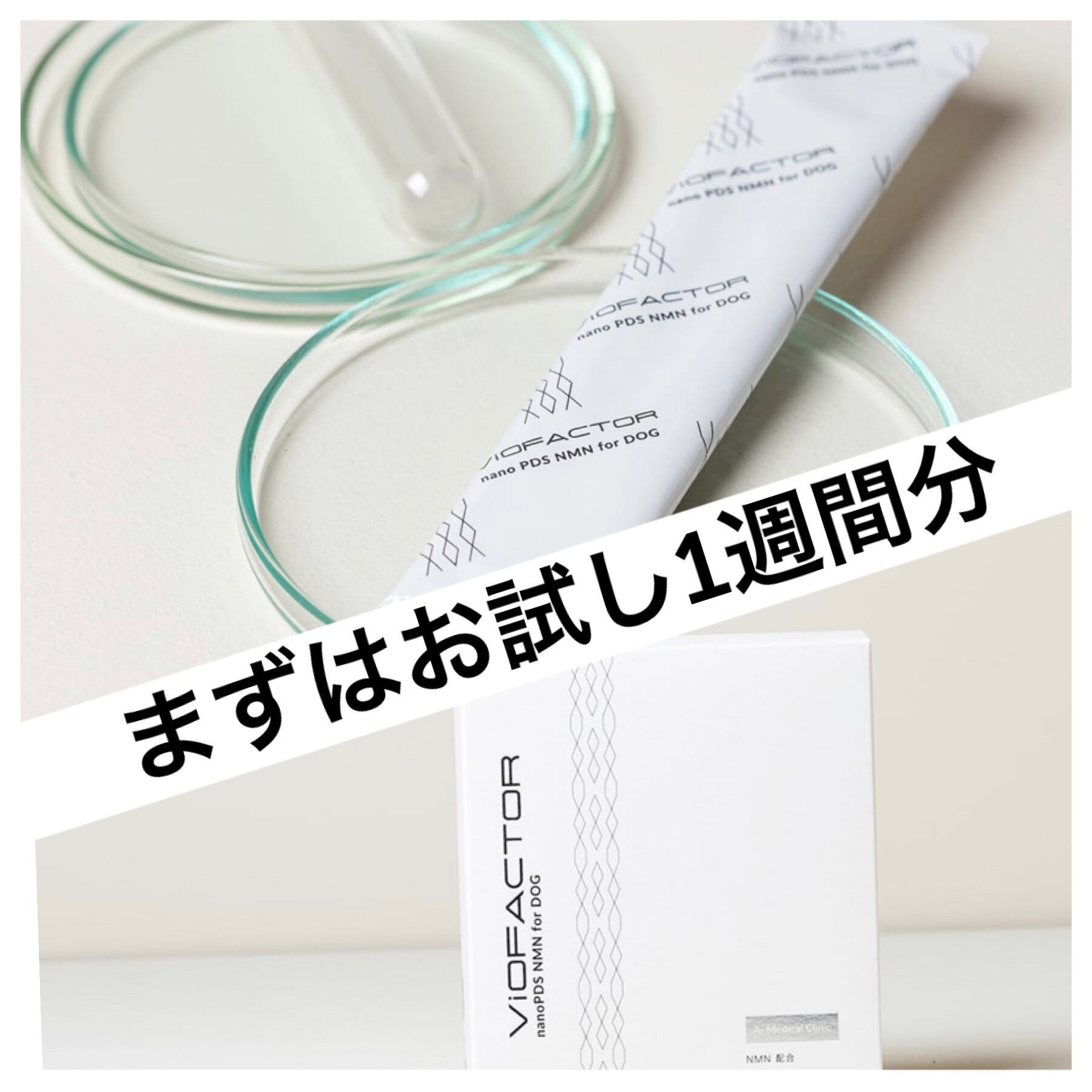 ペット用サプリ(NMN) | Pay ID ペット用サプリ(NMN) | Pay ID