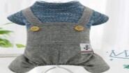 2-39/ペット用 春秋冬オールインワン服(小型犬用)