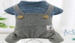 2-39/ペット用 春秋冬オールインワン服(小型犬用)