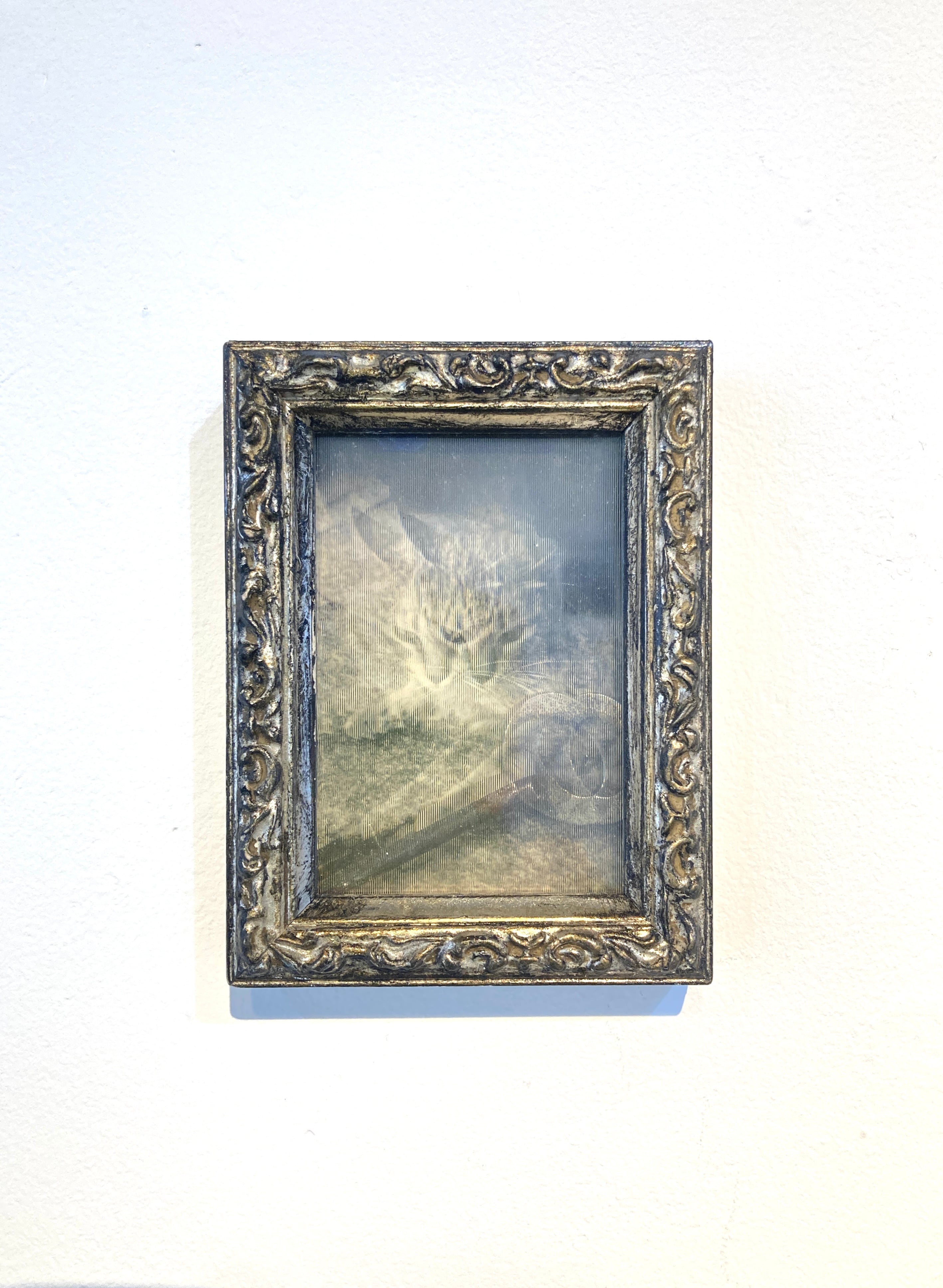 「The way you lookーCat」藤田夢香 作