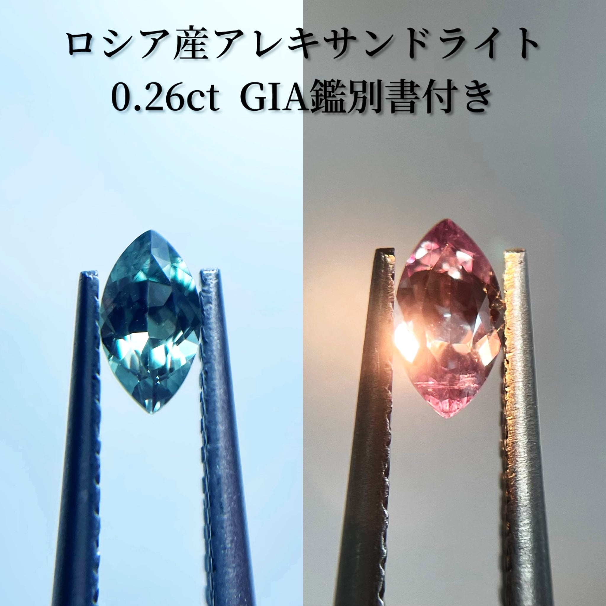 JJ263★高級 アレキサンドライト0.31ct D pt ヘッド 鑑別付 ロシア産アレキサンドライト 0.26ct GIA鑑別書付き | Gemelli