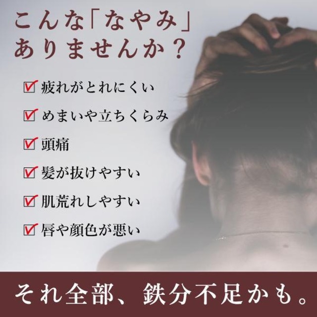 アイアンパン 北海道あんぱん|鉄分配合サプリパン|食べる鉄分習慣 しっとりもちもち