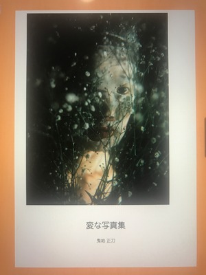 『変な写真集』『Ruined Girl』二冊セット