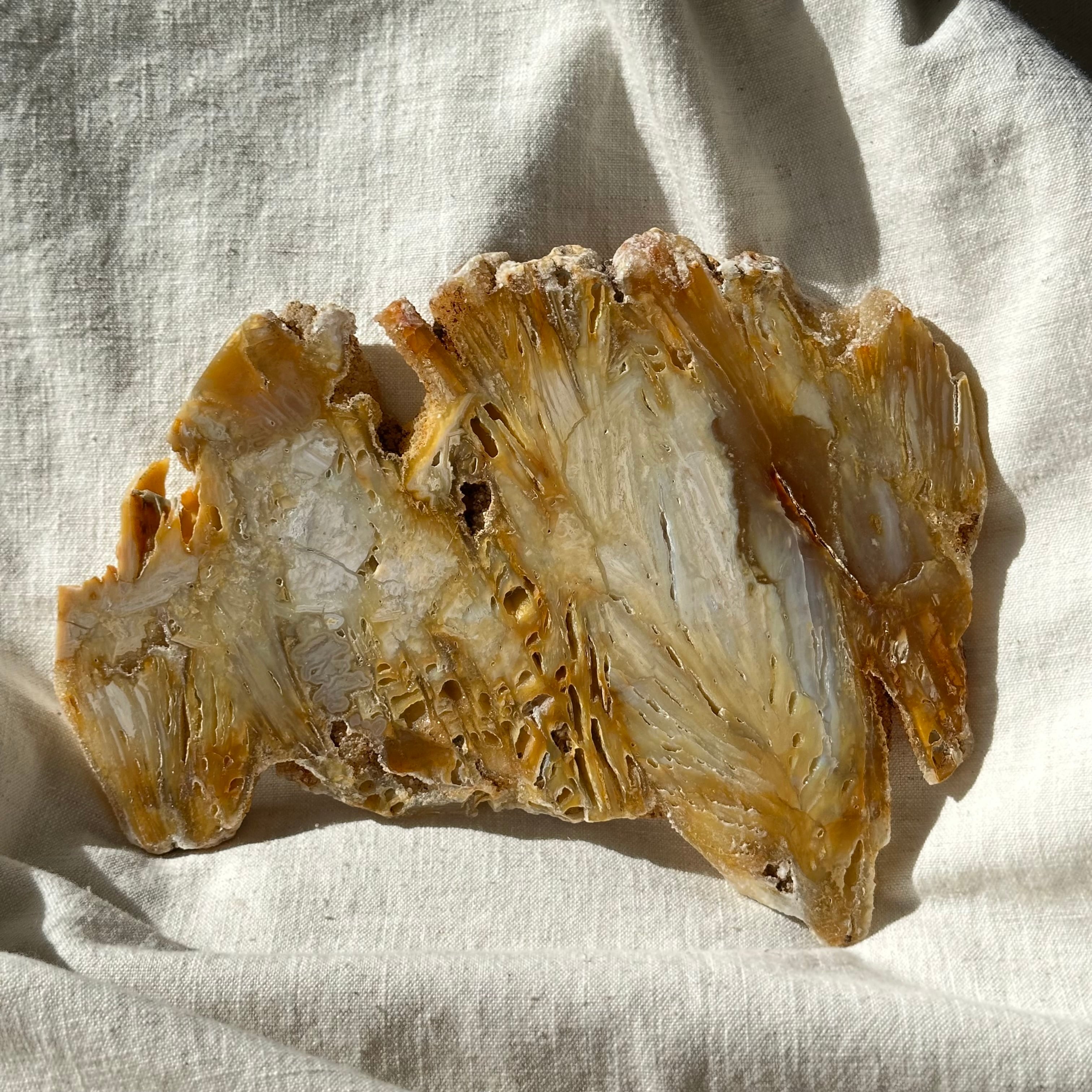 【瑪瑙】アゲート スライス シリカ化 カルセドニー × セレナイト 瑪瑙】アゲート スライス — 自然が描いた層のアート — シリカ化