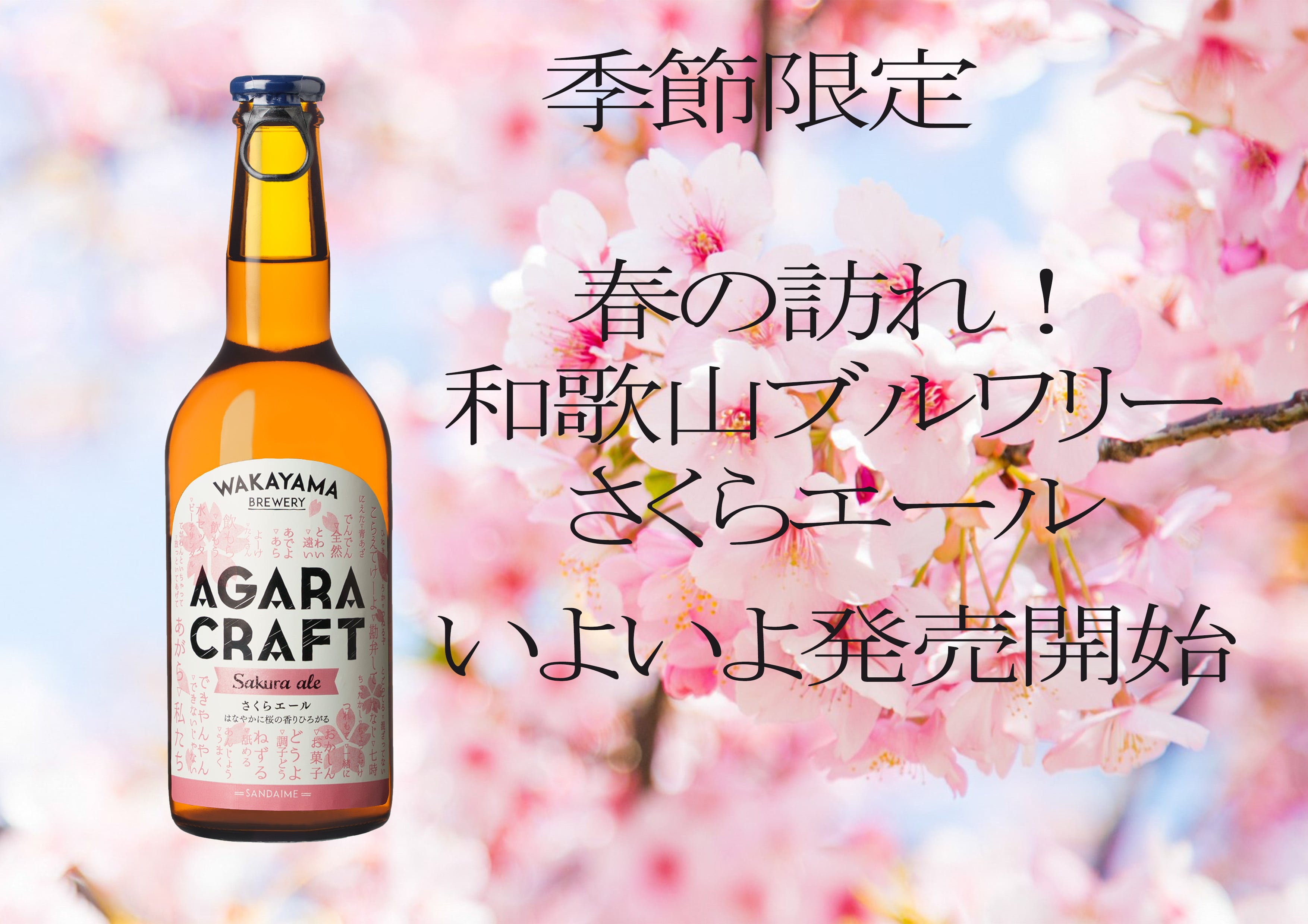 【限定さくらエール6本セット】AGARA CRAFT　限定さくらエール×６本　