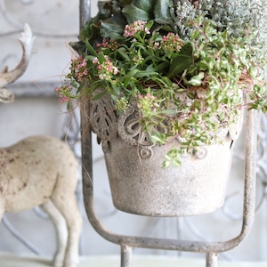 冬から春に楽しむ寄せ植え　シャビーな持ち手付きブリキポットのアンティークなシクラメン　　お正月にオススメ　届いてすぐ玄関に飾れる 　プレゼントにもオススメ　