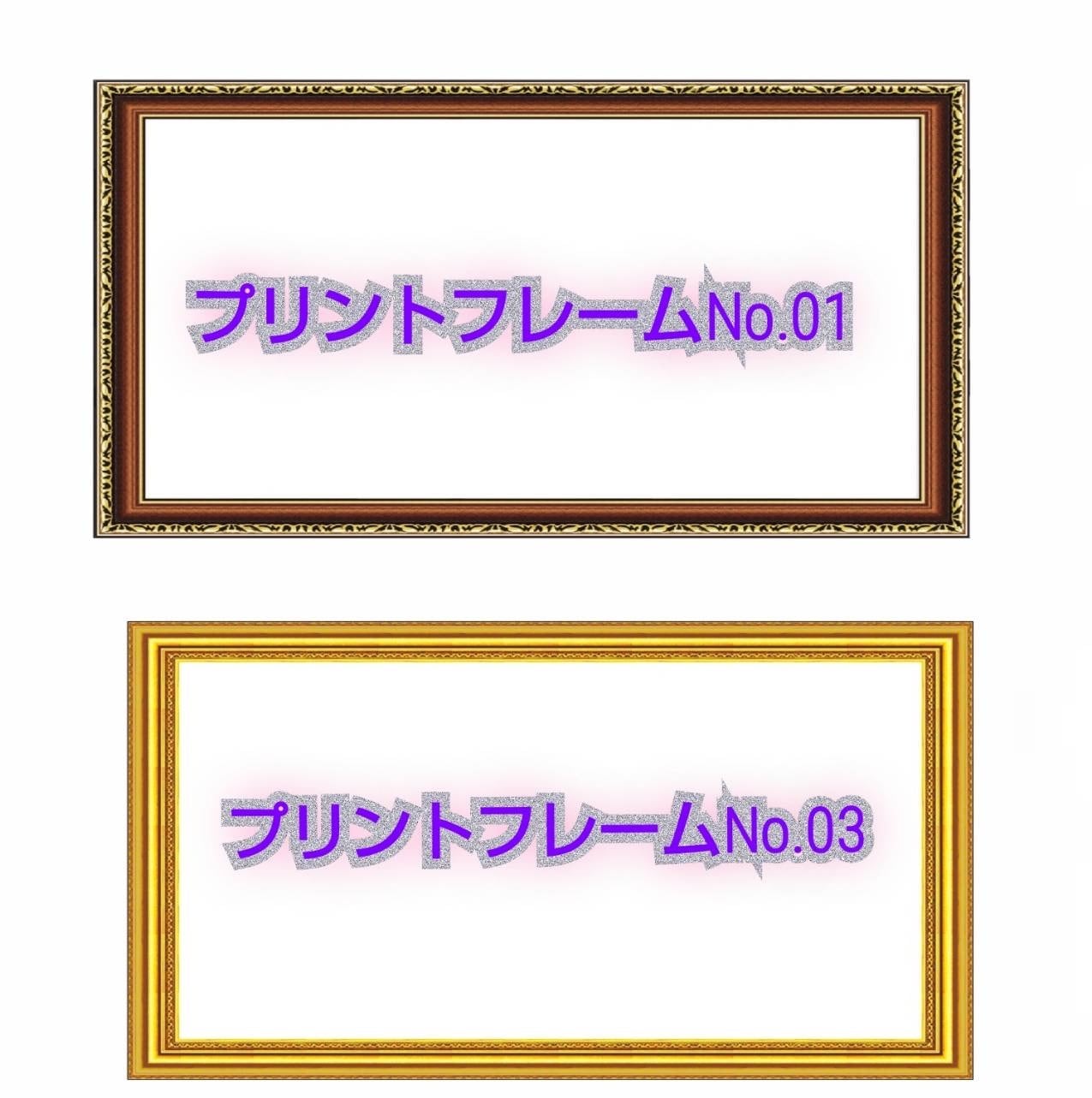 print frame枠見本