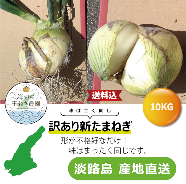 【訳アリ】新たまねぎ10KG