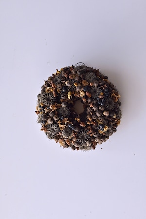 黒い実のリース