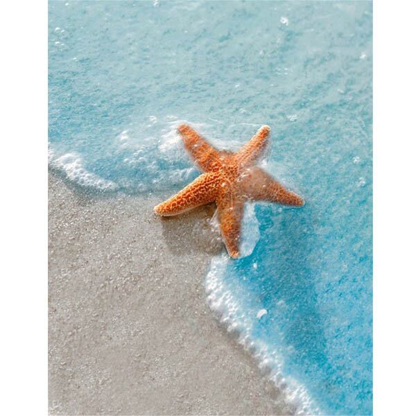 ダイヤモンドアートクラブ Beach Comber's Bounty Beachcomber's