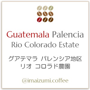 【送料込】グアテマラ パレンシア地区 リオ コロラド農園 - Guatemala Palencia Rio Colorado Estate - 300g(100g×3)