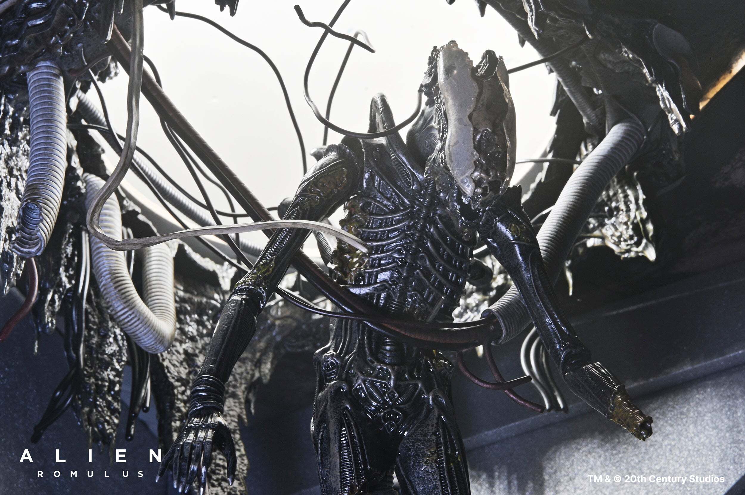 ネカ エイリアン ロムルス ゼノモーフ XX121 サスペンデッド・ラボ DX