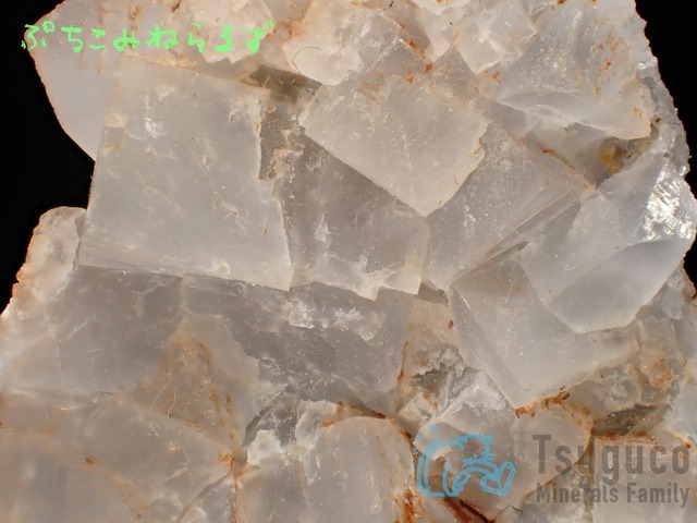 フローライト（蛍石） | PuchicoMinerals｜鉱物・天然石・ルース・雑貨