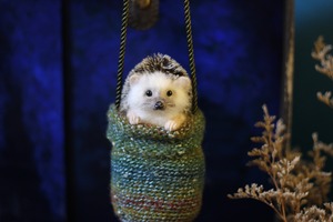 Dangling Hedgehog ぶらぶらハリネズミさん（モヘア）