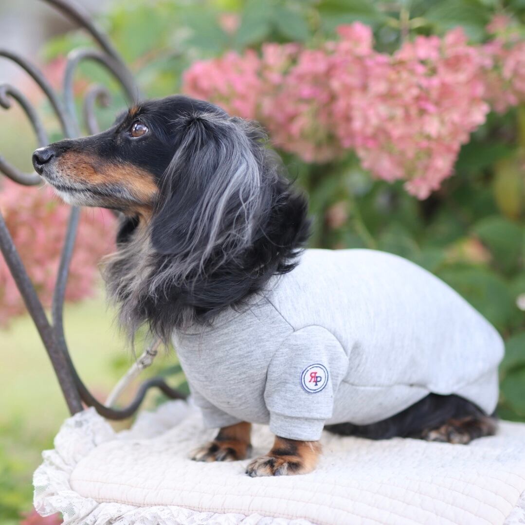 お揃いスウェット(ダンボールニット)【ご愛犬用】 | カニンヘン