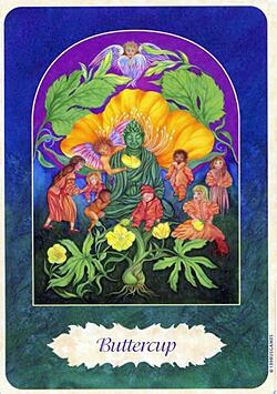 バターカップ (pw-s007) | フラワーエッセンスショップ は な こ こ ろ