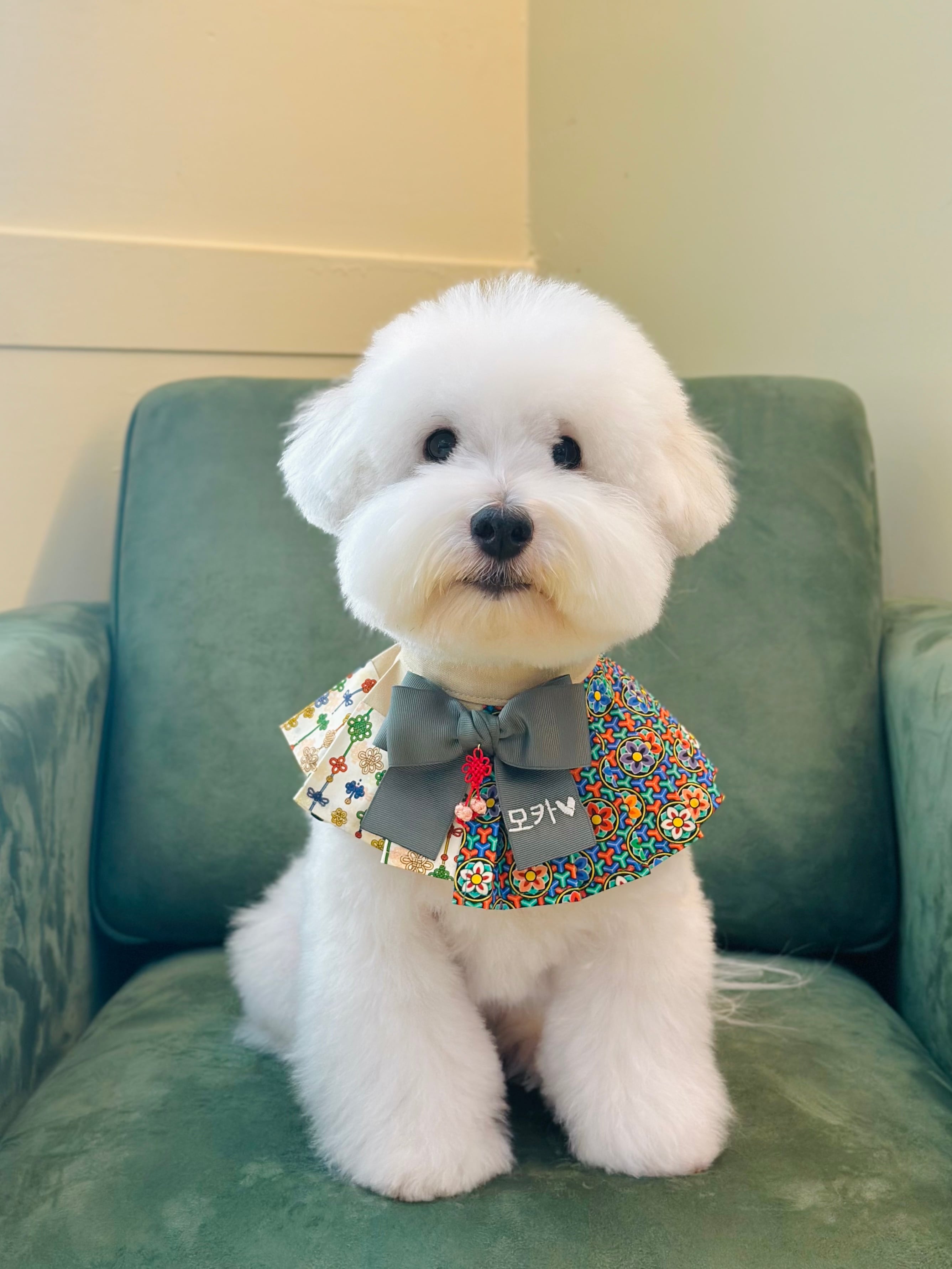 本体+リボンSET/予約【MR.MOKA】Half&Half 3block Accordion Cape (25FW限定)