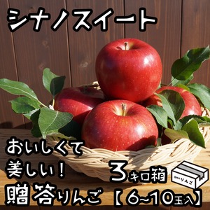おいしいりんごシナノスイート ３キロ（６〜10玉）