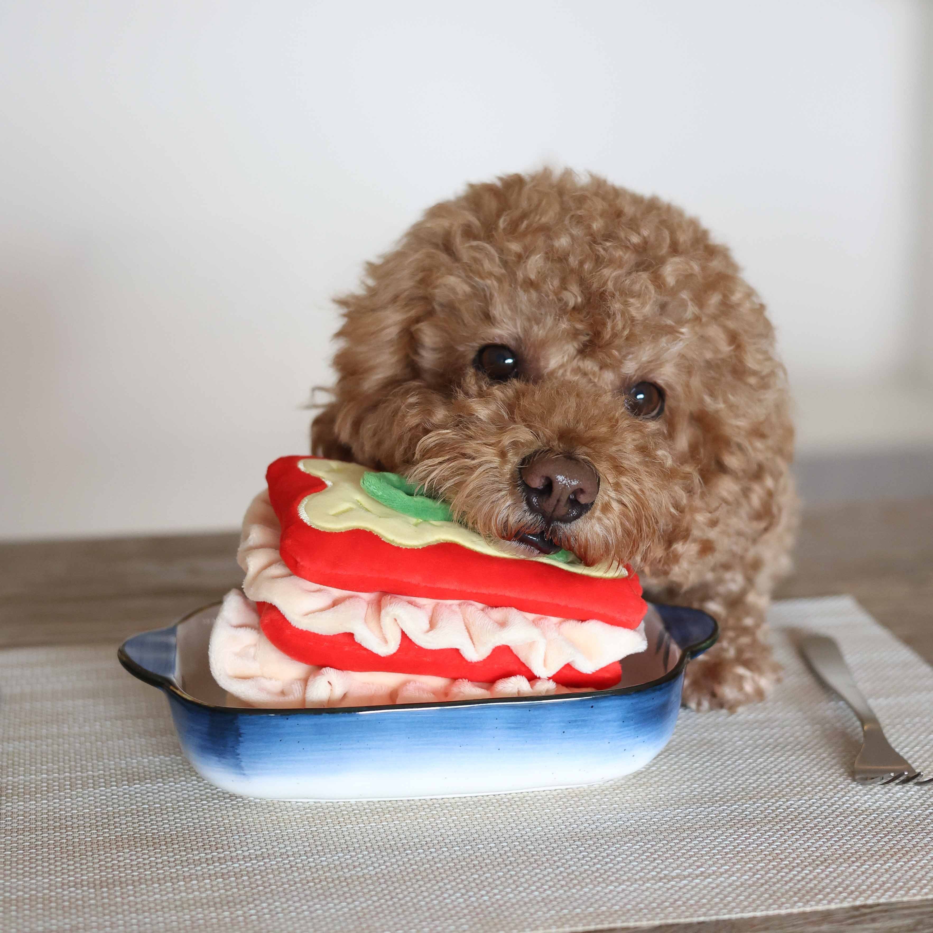 Pups&Bubs Lasagna Nosework Toy〖 即納 〗