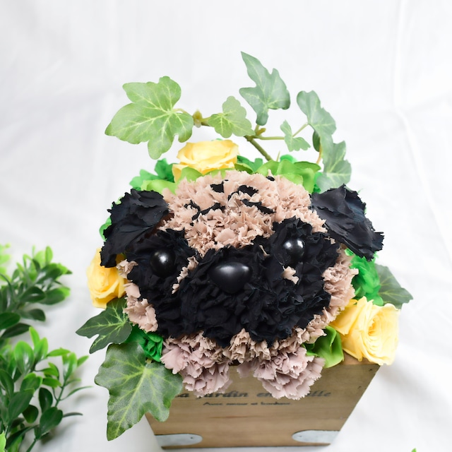 パグ プリザーブドフラワー 犬 花っぷりフラワーペット カーネーション 花 誕生日 ペットのお供え プレゼント すりすとん 枯れない花工房 パグ プリザーブドフラワー 犬 花っぷりフラワーペット カーネーション 花 誕生日 ペットのお供え プレゼント すりすとん 枯れない花工房