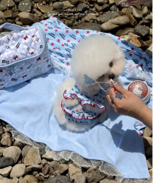 S/即納【pieonaday】26 Summer Juju Swim Suit (Blue)