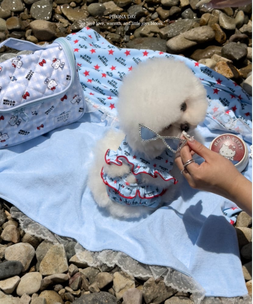 S/即納【pieonaday】26 Summer Juju Swim Suit (Blue)