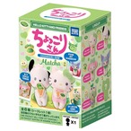【ロット販売】【12入】サンリオちょっこりさん ミステリーボックス 抹茶(7452519)