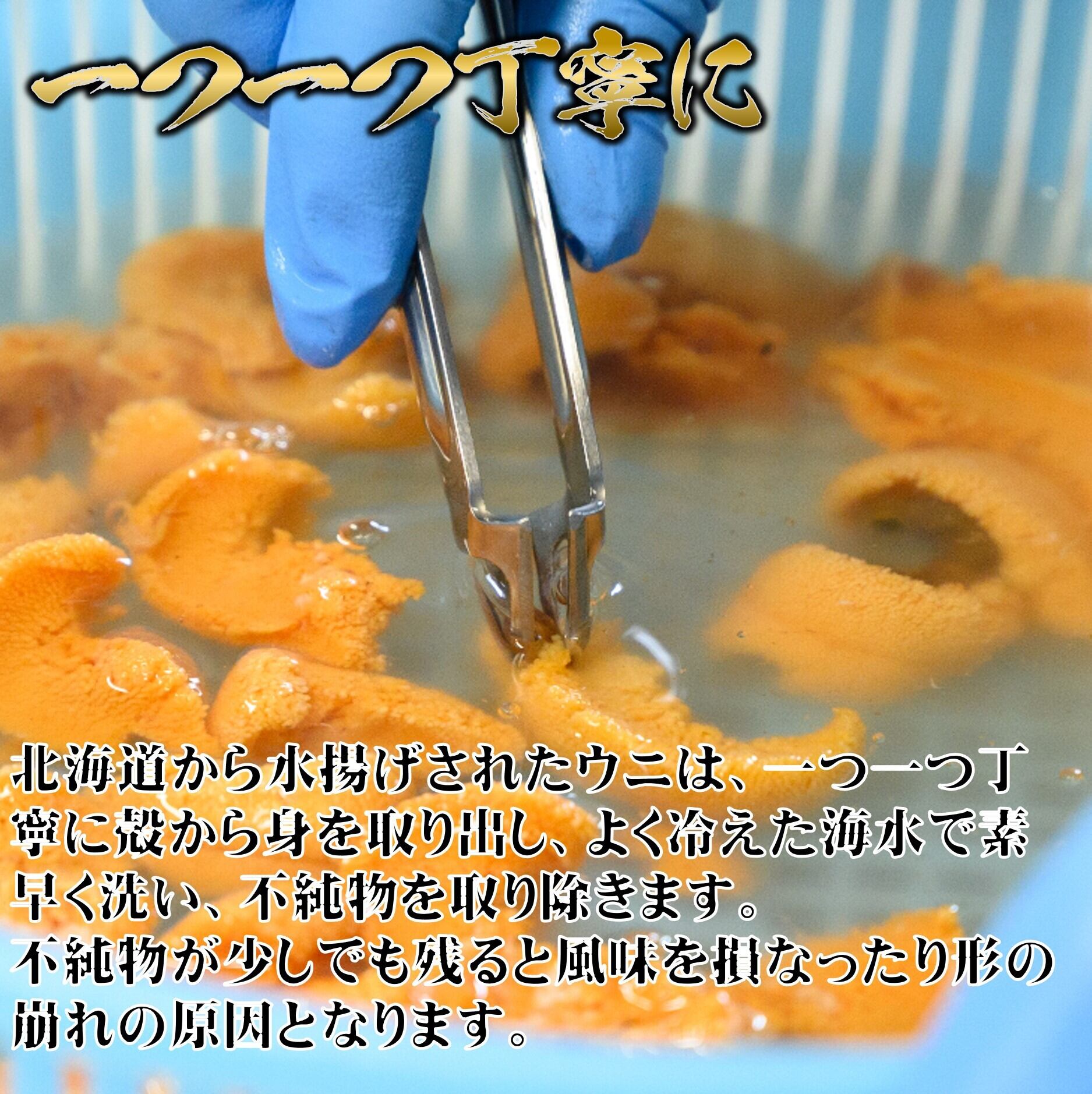 数量限定販売 北海道噴火湾産 無添加 生ウニ バフンウニ 100ｇ はちきょう市場