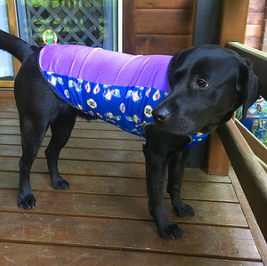 わんこ服大型犬用L "ミクロの花柄＆UVカット紫無地のタンクトップ”H-1
