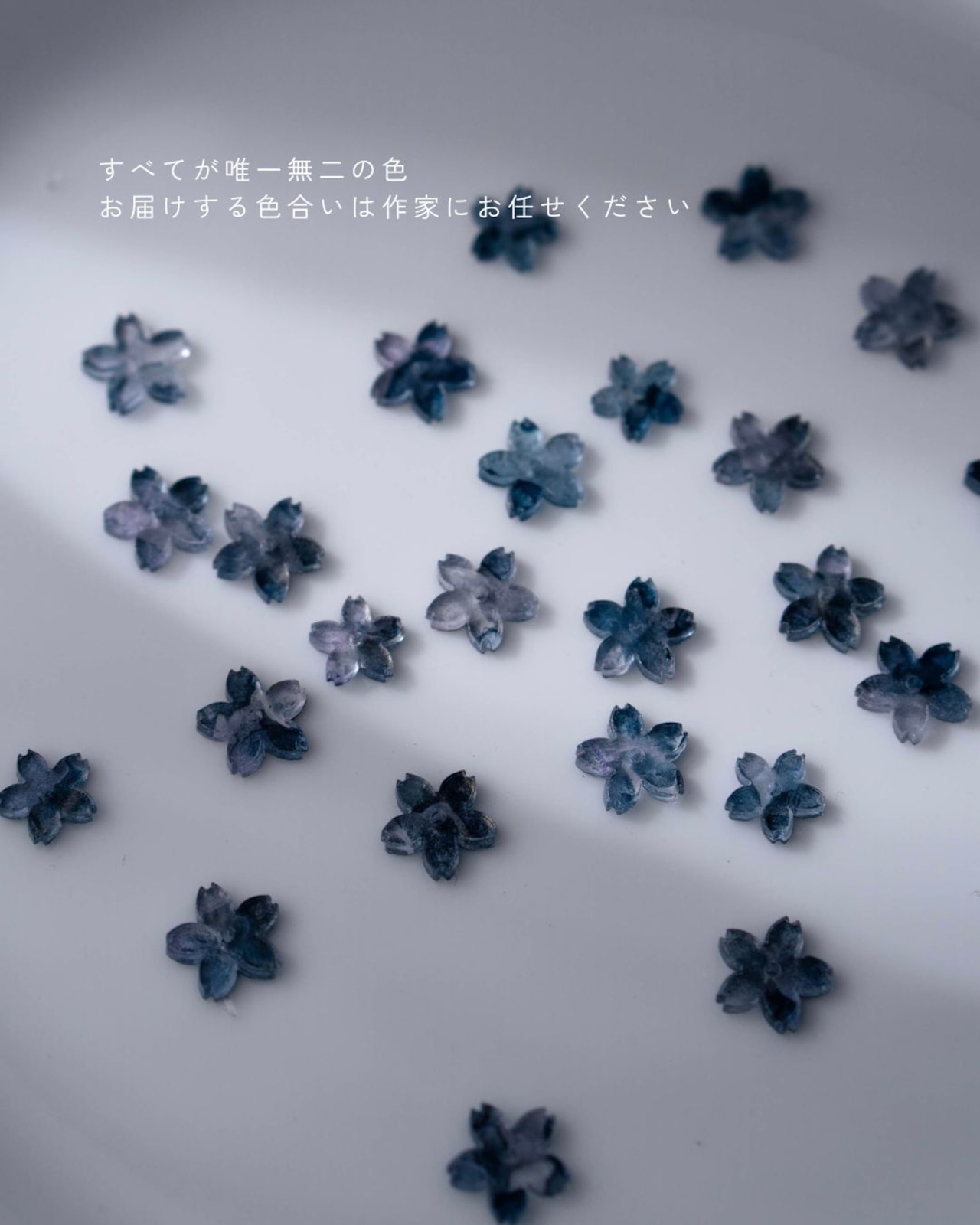 桜の時　◇silver