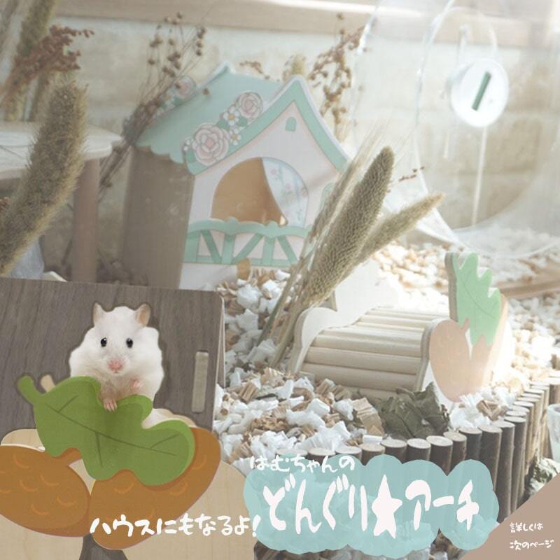 遊び場にもハウスにもなる万能どんぐりアーチ♪