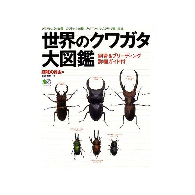 バッタ・コオロギ・キリギリス大図鑑 | PAY ID