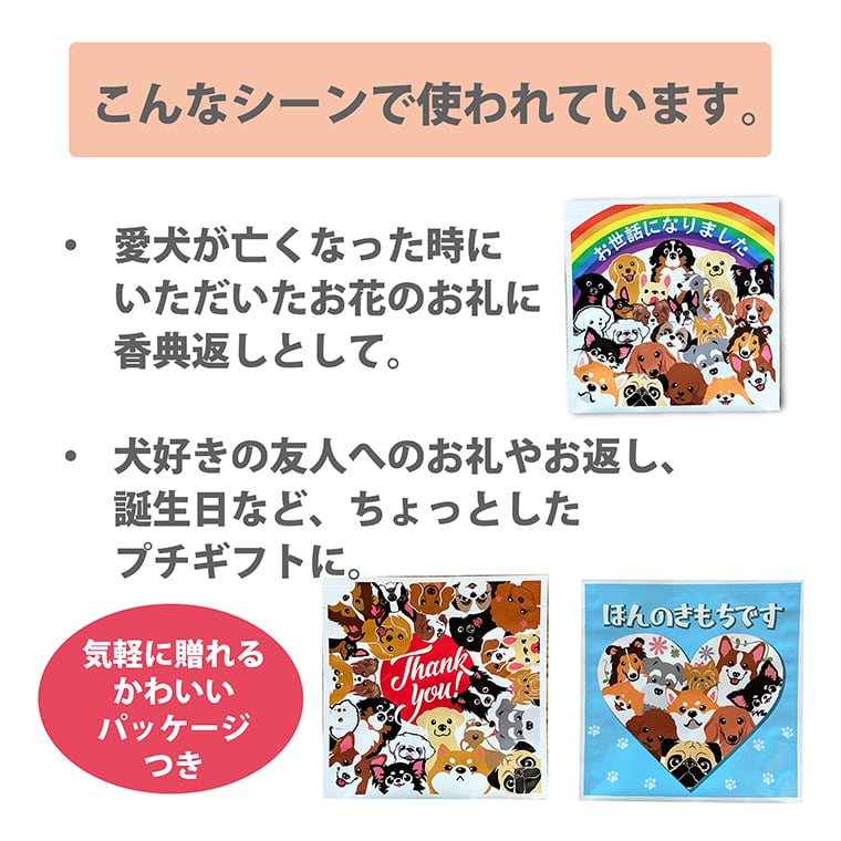 香典返し お世話になりました お茶とタオルセット | まいわんちょ Mywancho
