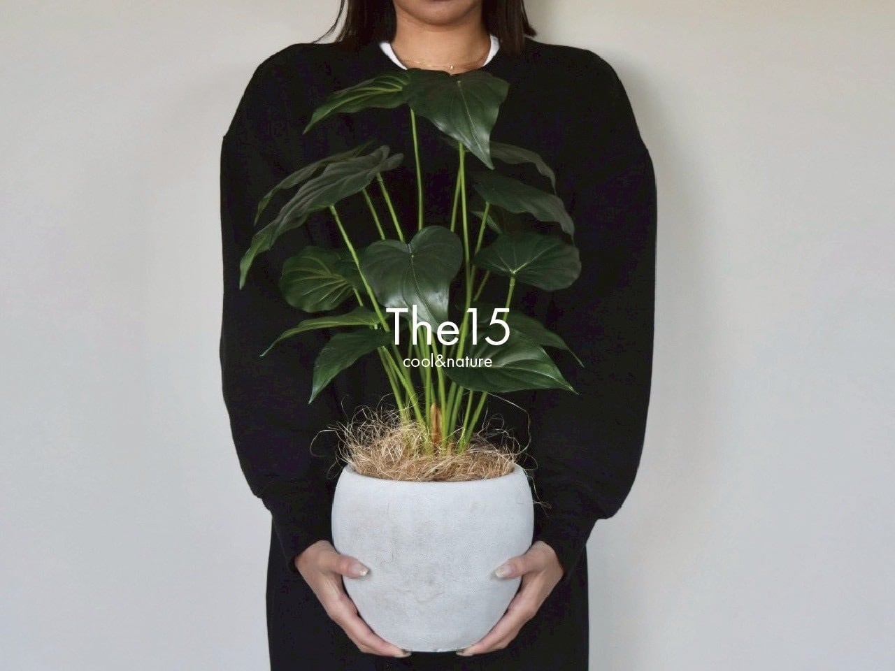 観葉植物（フェイク） | The15