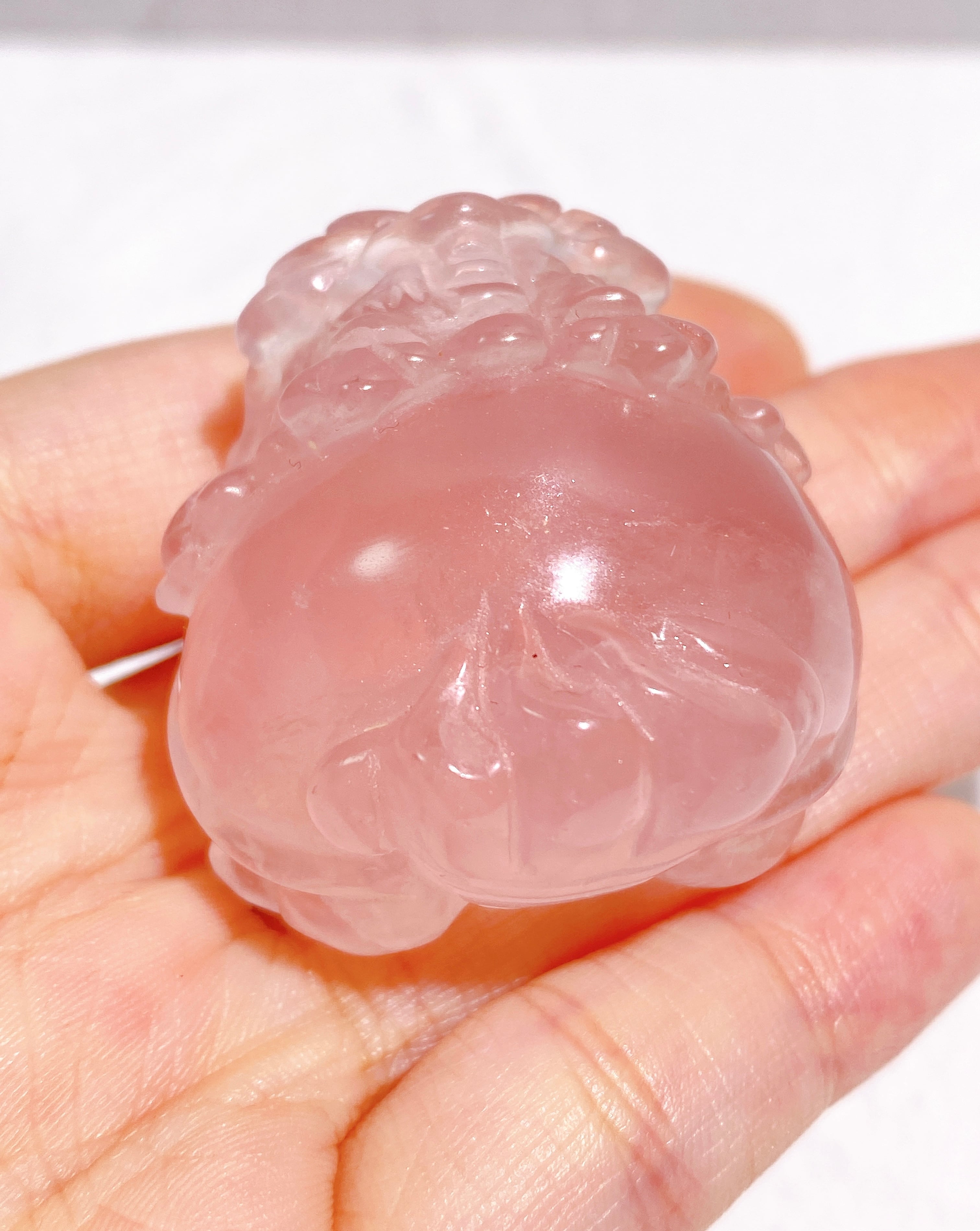 龍亀(ロングイ) | 9rinto