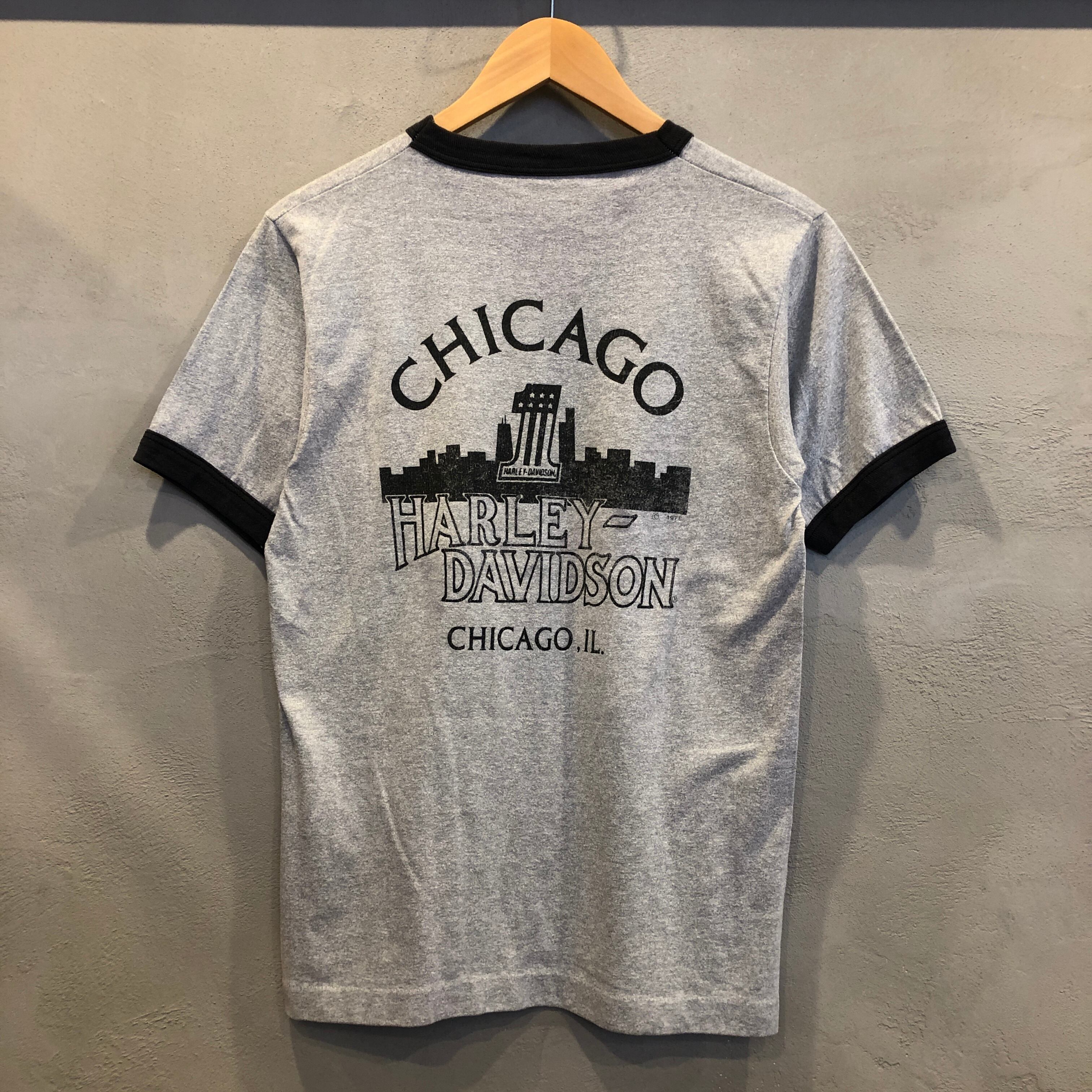 美品vintageHarley-Davidson Tシャツ 3XL ⊕⊕1980s HARLEY-DAVIDSON T-SHIRT | safarionline