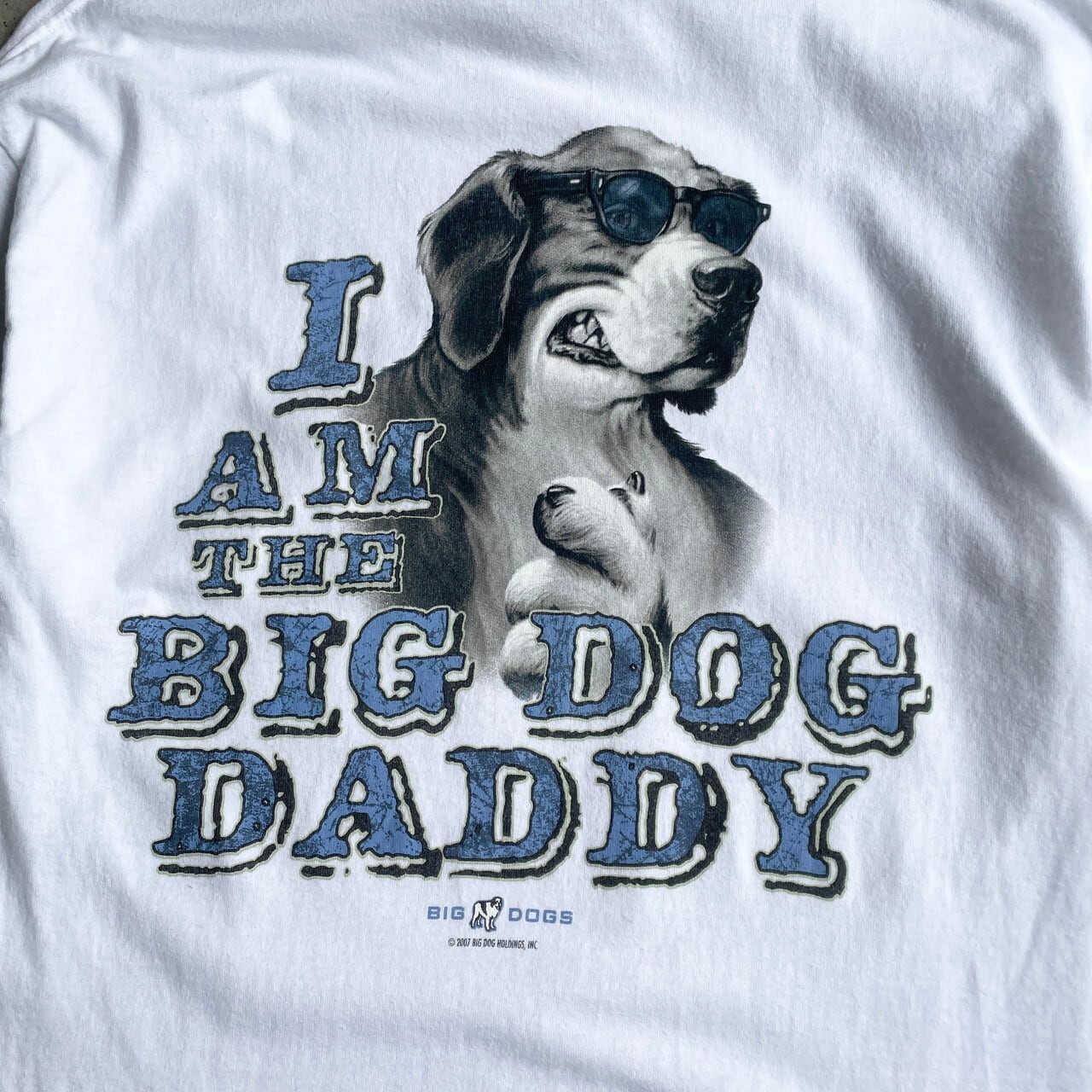 ★90s BIG DOGS ヘンリーネック Tシャツ 犬 アニマル 刺繍 緑