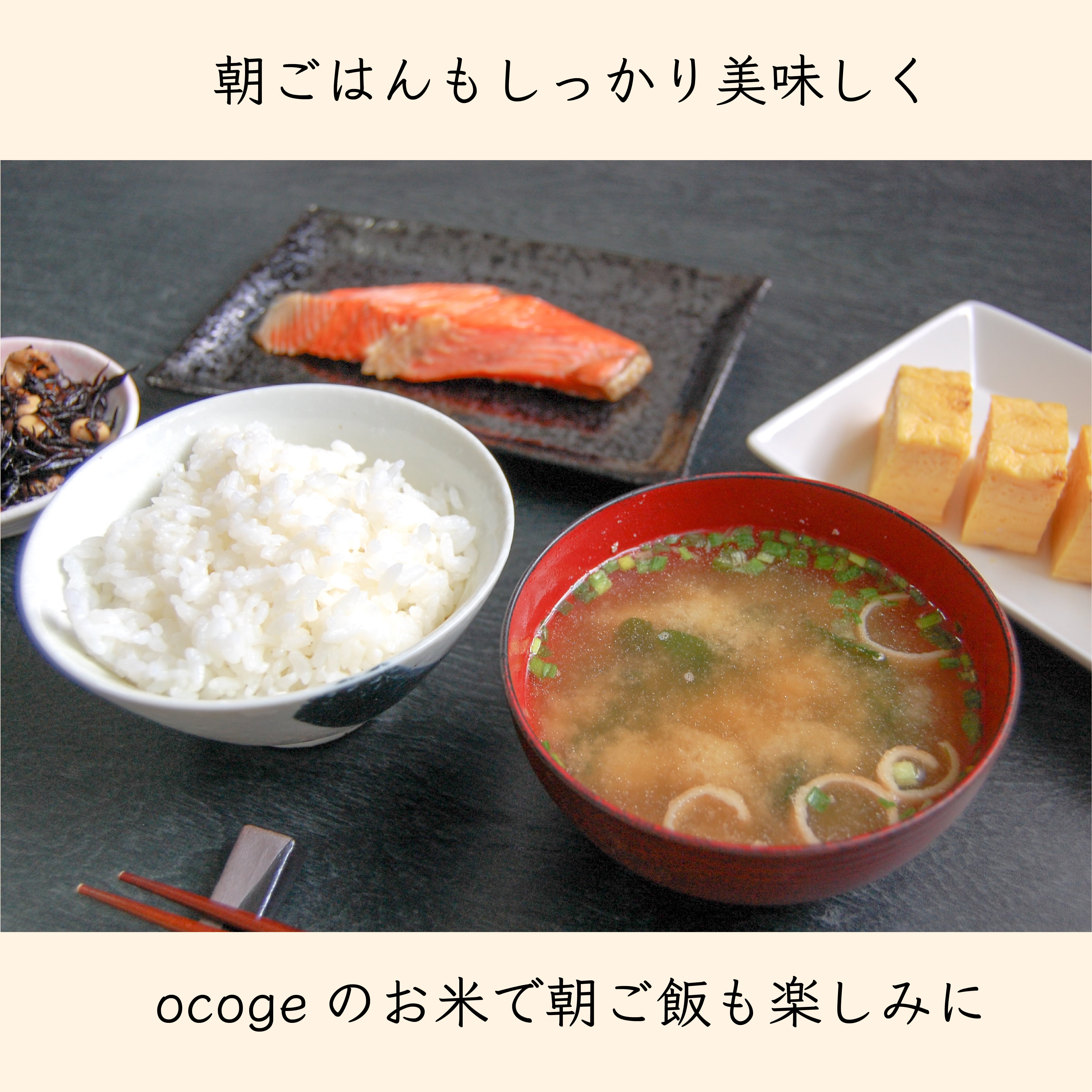 特別栽培米　ななつぼし　ocoge　令和5年産　2kg　北海道産　人気No.2