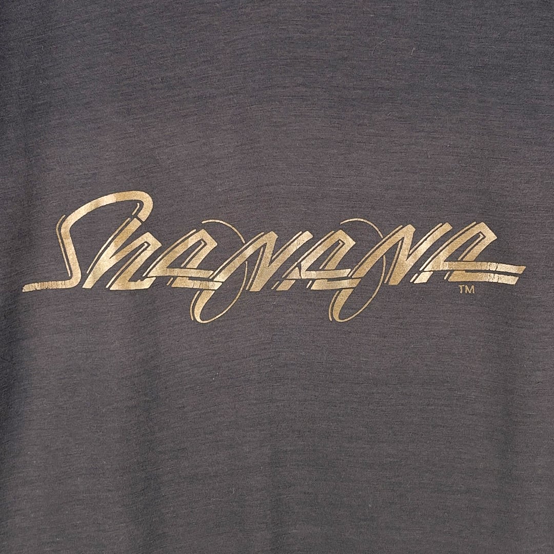 70s シャナナ ヴィンテージTシャツ バンドロゴ SHA NA NA サイズL相当