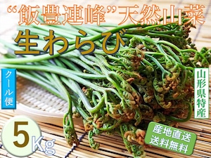 早期予約受付中　天然山菜　天然生わらび/５Kｇ　自然の恵み　限定予約販売　送料無料