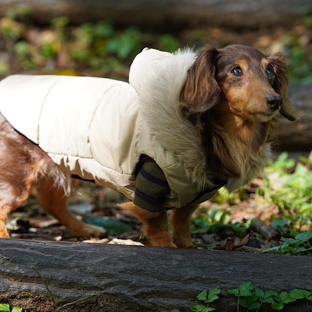 トラベルダウンコート　〜マダムダックス〜 トラベルダウンコート 〜マダムダックス〜 トラベルダウンコート